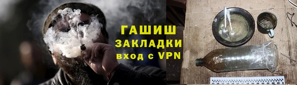 индика Медногорск