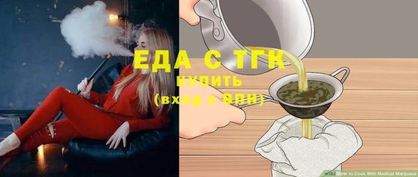 индика Медногорск
