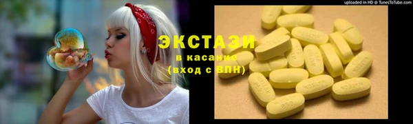 индика Медногорск