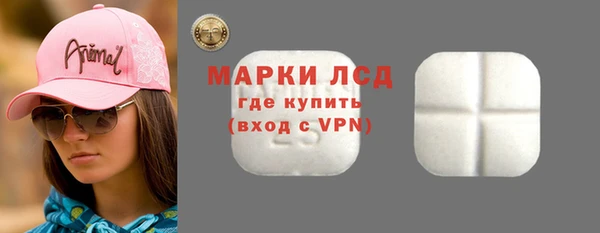 индика Медногорск