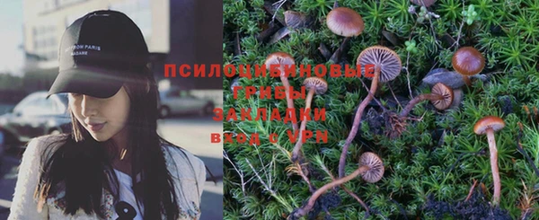 метадон Михайлов