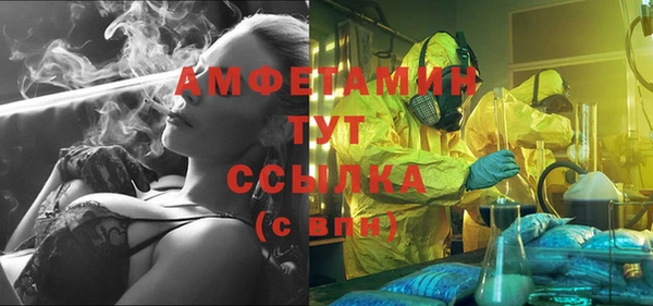 метадон Михайлов