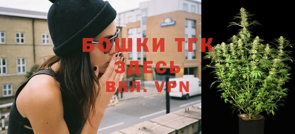 метадон Михайлов