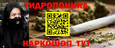 спиды Гатчина