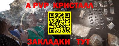 спиды Гатчина