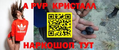 дживик Гай