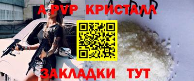спиды Гатчина