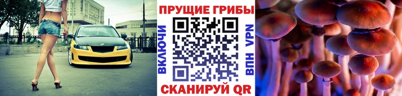 Псилоцибиновые грибы ЛСД Кудымкар