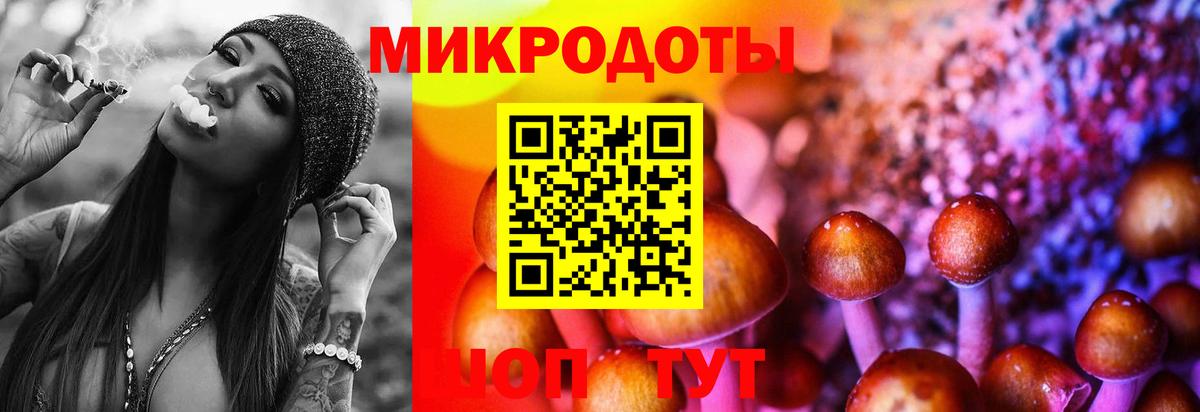 Кудымкар  цены наркотик  Вход с VPN  Галлюциногенные грибы Psilocybine cubensis 